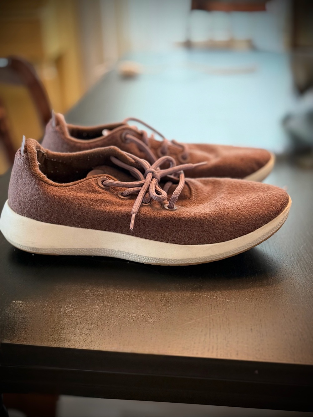 allbirds Men's Brown Wool Runners Sneakers